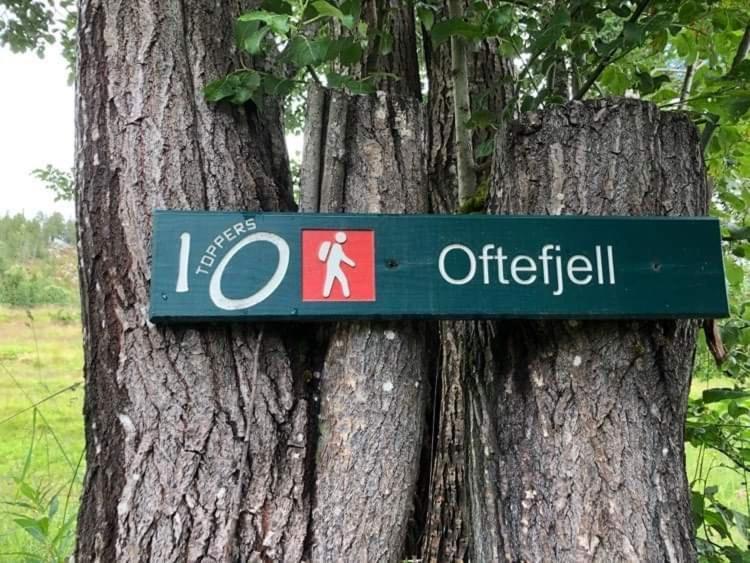 Sjarmerende Overnatting Sentralt I Vest-Telemark Hoydalsmo 외부 사진